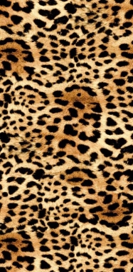 Drap-de-plage-coton-90-x-170-cm-leopard